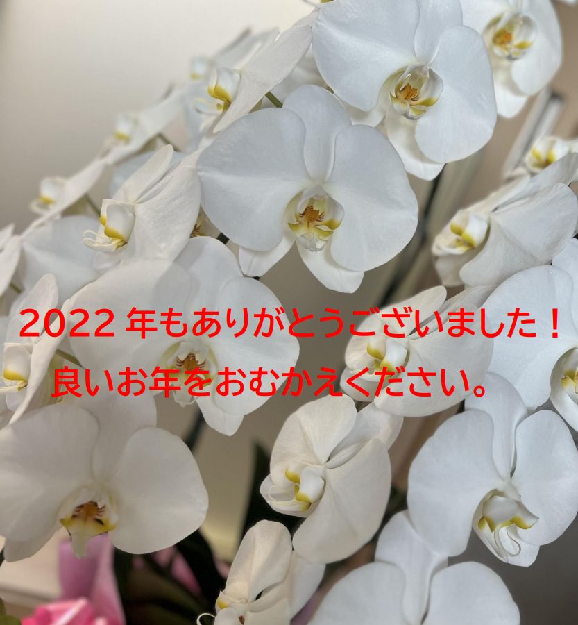 皆様の幸せのお手伝いができるように頑張って参ります！